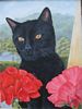 Chat noir